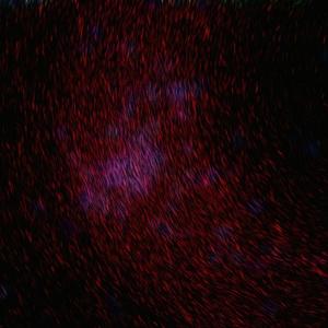 国产精品自在线拍
